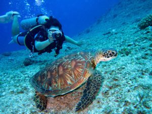 Underwater shot