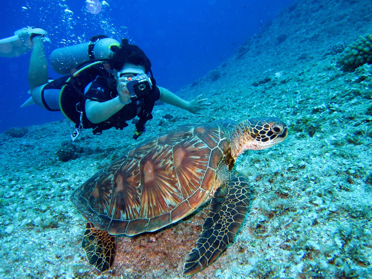 Underwater shot